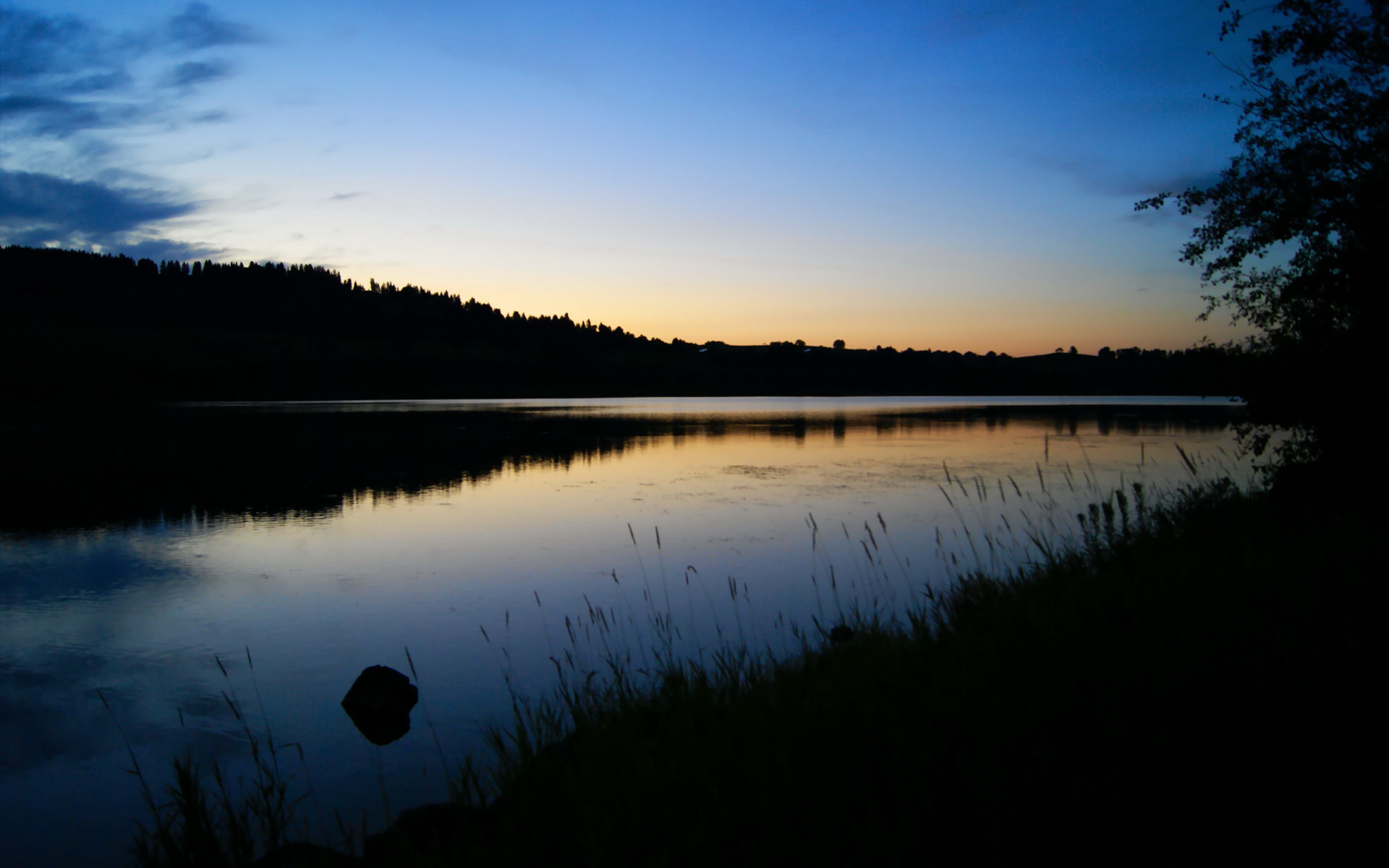 无声的统治，布鲁诺与F1街道赛之夜的攻防诗篇