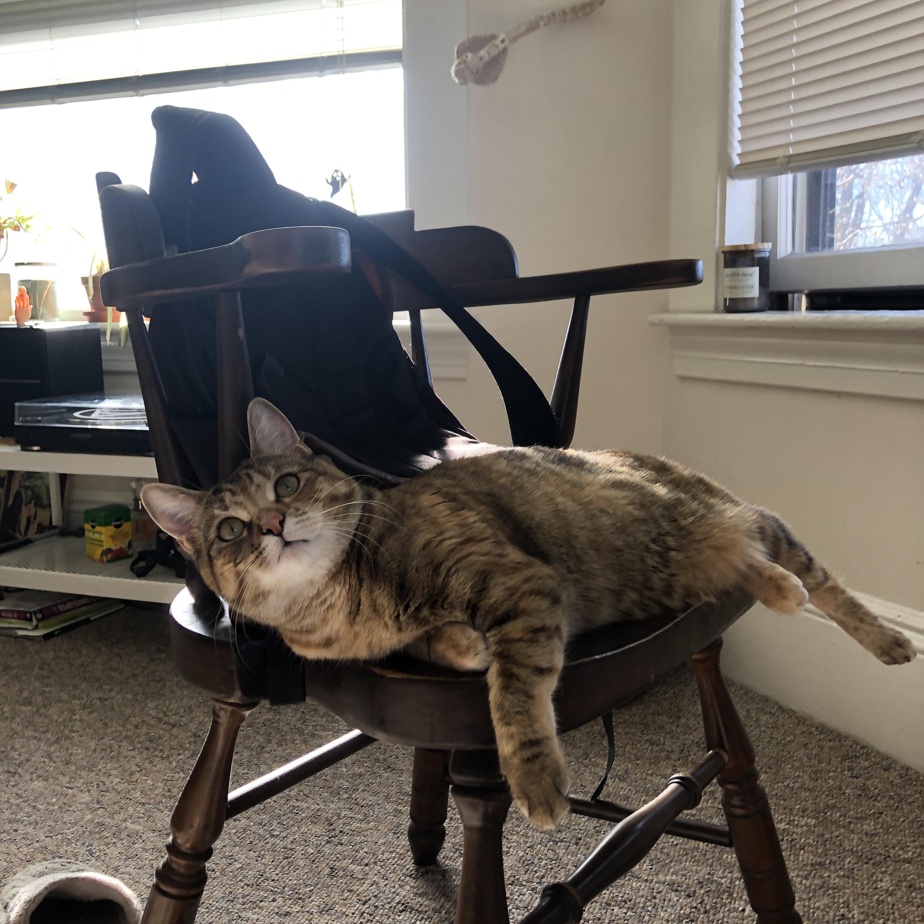 哈登进攻端无人可挡,森林狼淘汰赛轻取北京队