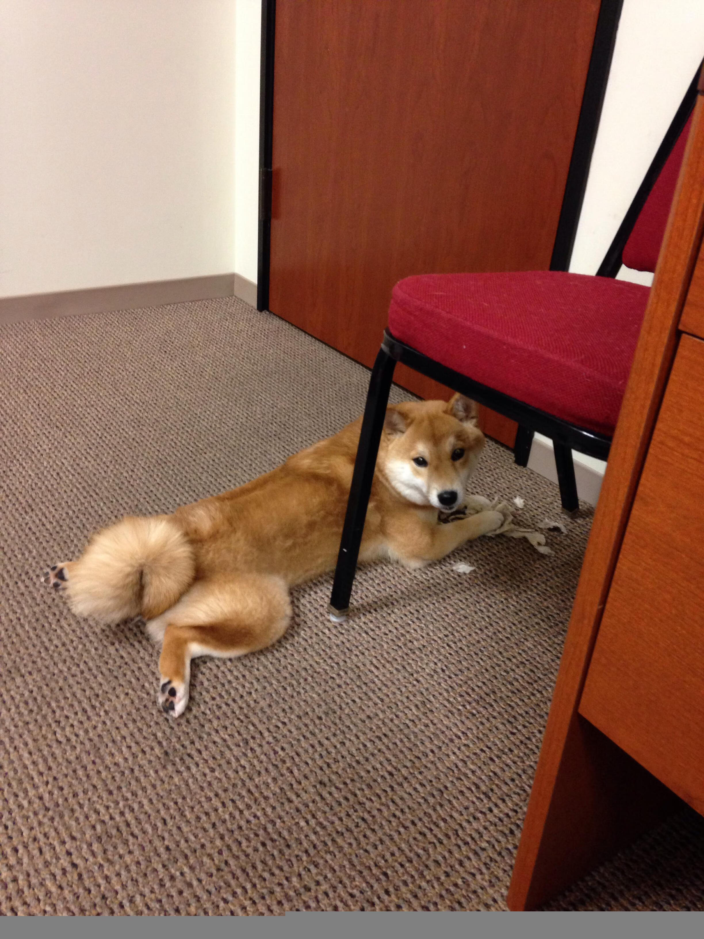 同一比赛夜的双面胜利,团队的衰颓与个人的觉醒