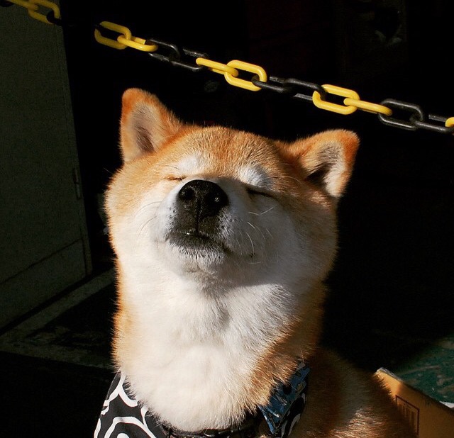 高原呼吸与钢铁意志，莱比锡的拉巴斯一夜