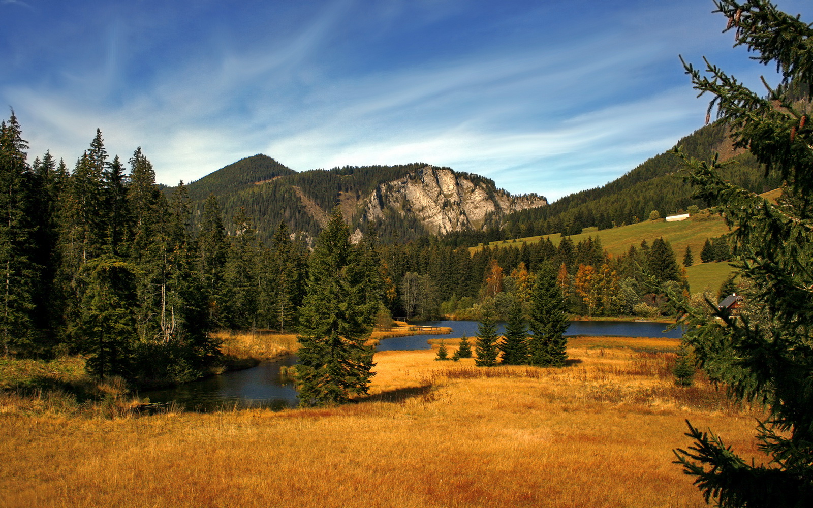 东西方对话，上海队爆冷击碎篮网神话，英格拉姆奥运周期关键战上演冷血接管