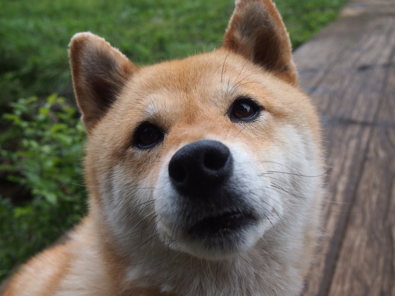 3分钟惊天逆转！萨内—从边缘人到无名英雄的蜕变之路