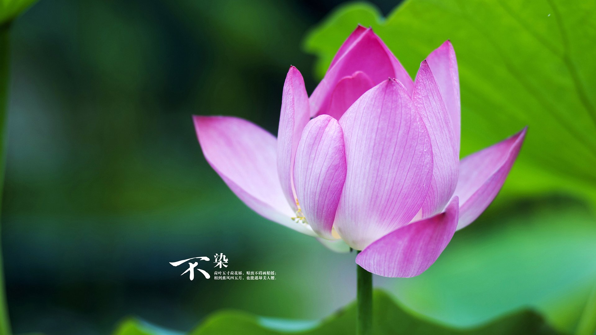 绿茵奇迹，萨拉赫终场绝杀，巴萨史诗逆转踏平勒沃库森