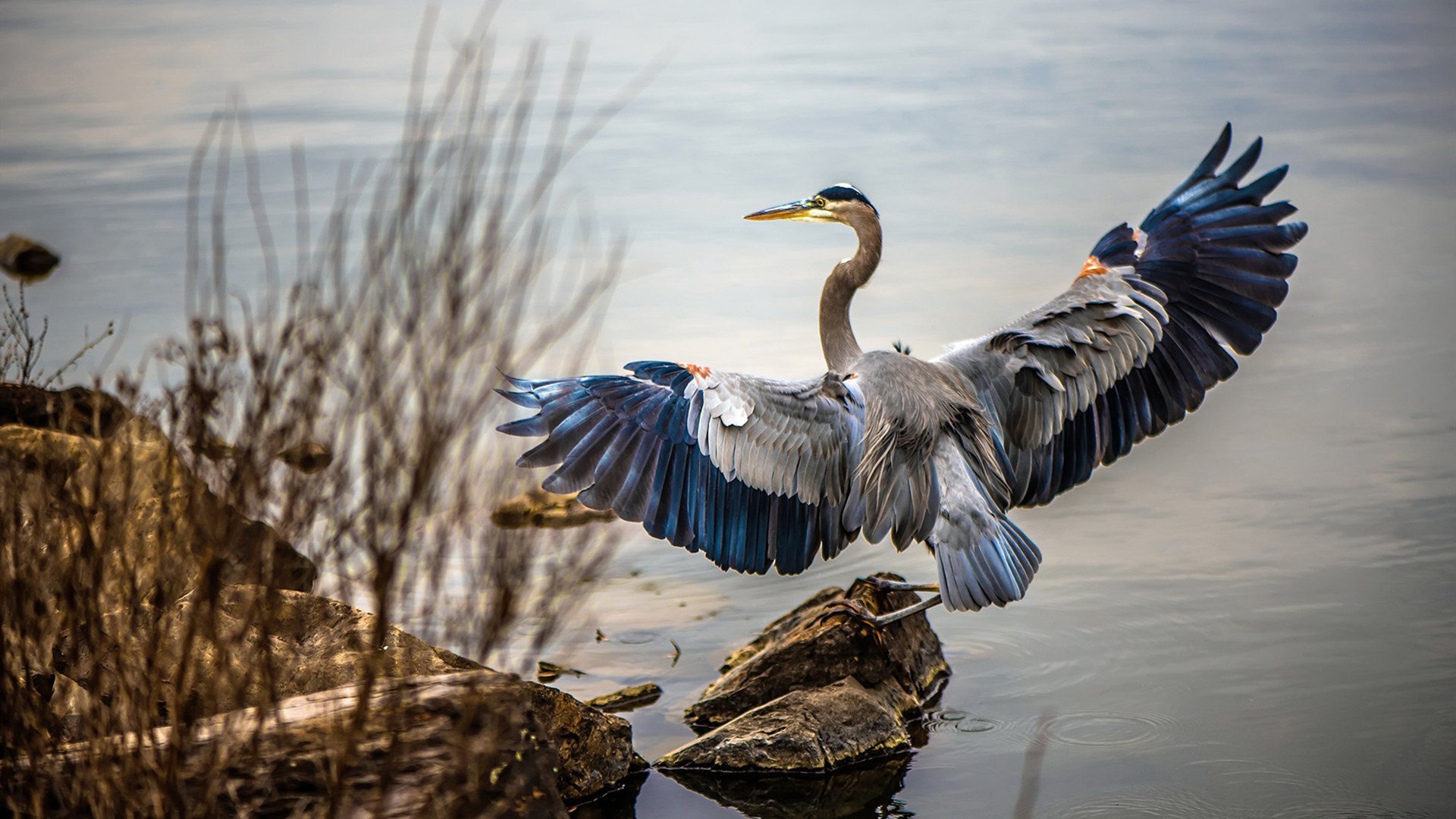 跨界巅峰战，山西队力克76人夺魁，库里数据全面爆炸引领胜利