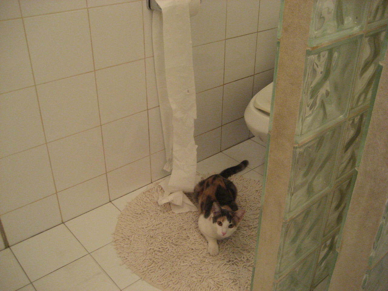 末节冰锋，黄色奇迹与马丁内利时刻