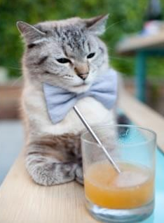 当篮球赛变成欧冠之夜，文班亚马用足球的狂野写就唯一传奇