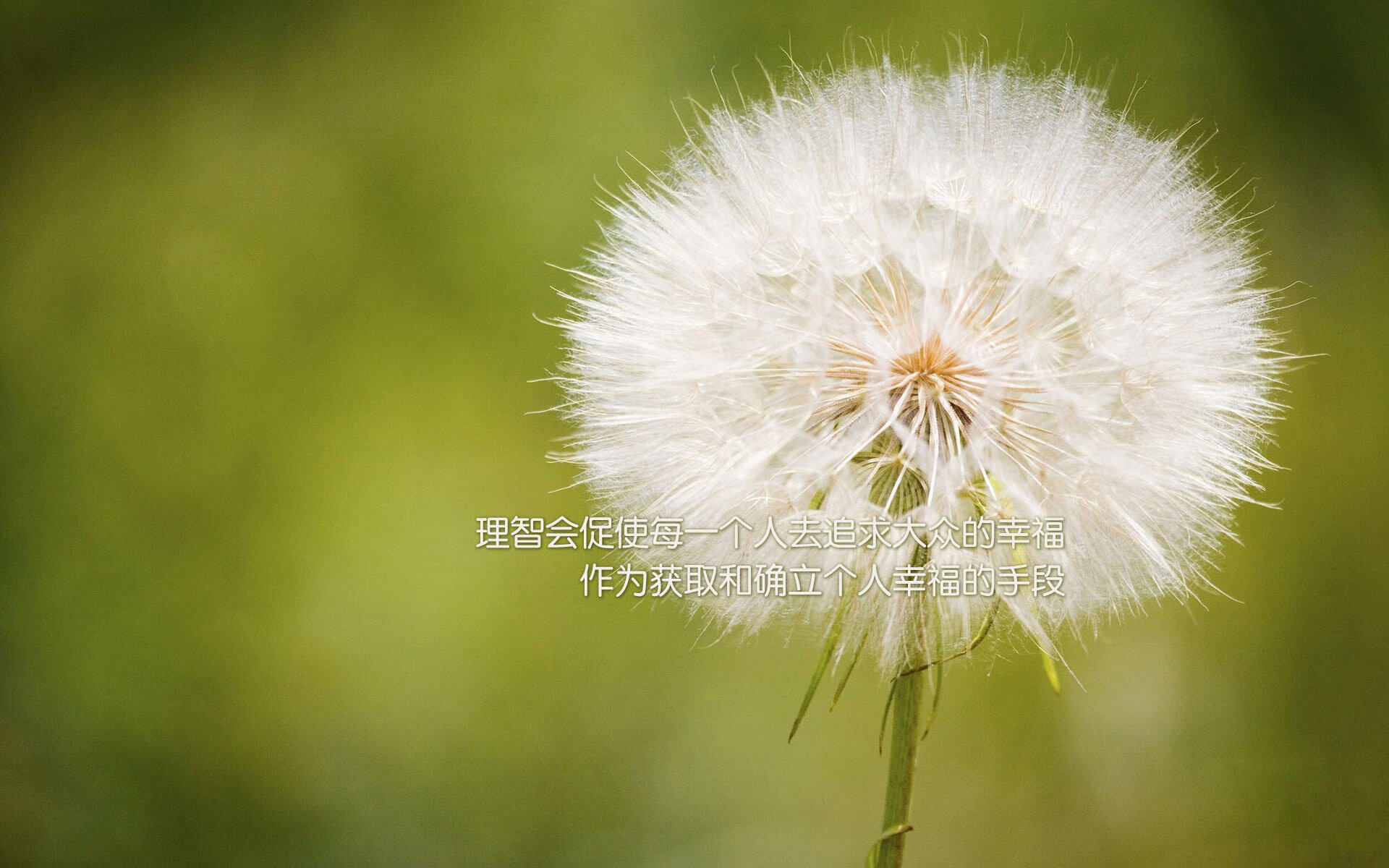 瞬间即永恒,2026世界杯C组,日本险胜德国,奥斯梅恩完成致命一击