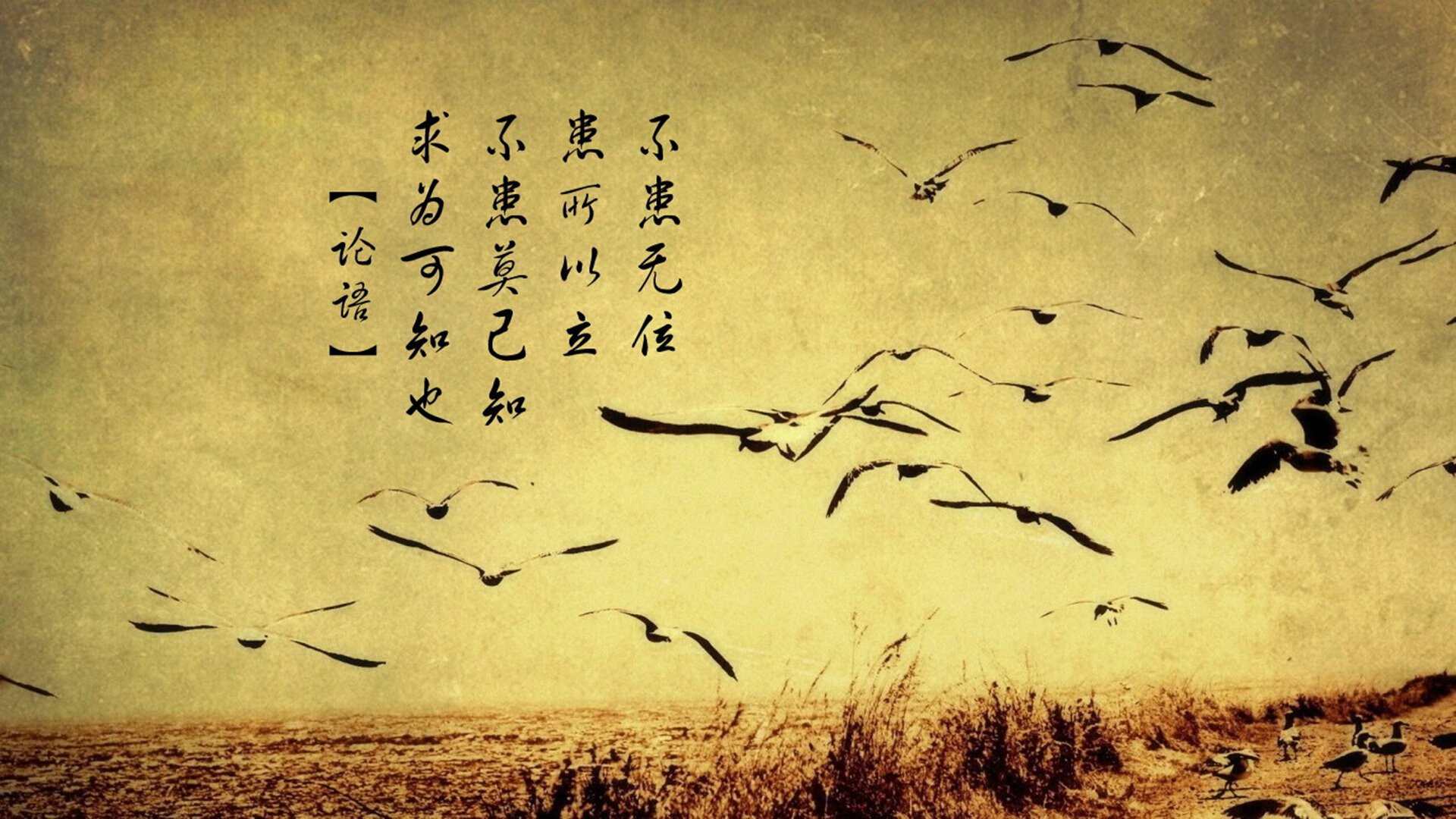 爱游戏大厅-独步绝杀夜，2026世界杯出线战，哥伦比亚九死一生险胜韩国，C罗临场神调度写就传奇唯一篇章