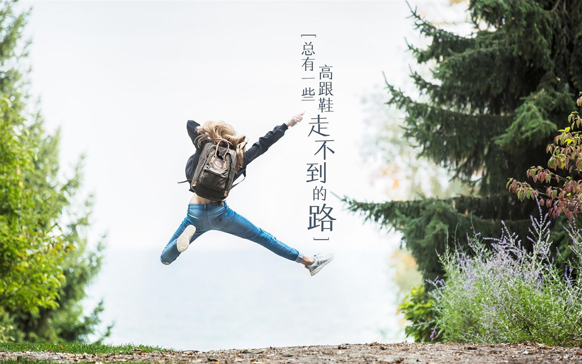 孤城绝杀,2026世界杯D组关键战,罗马尼亚力克厄瓜多尔,巴雷拉一己之力改写命运