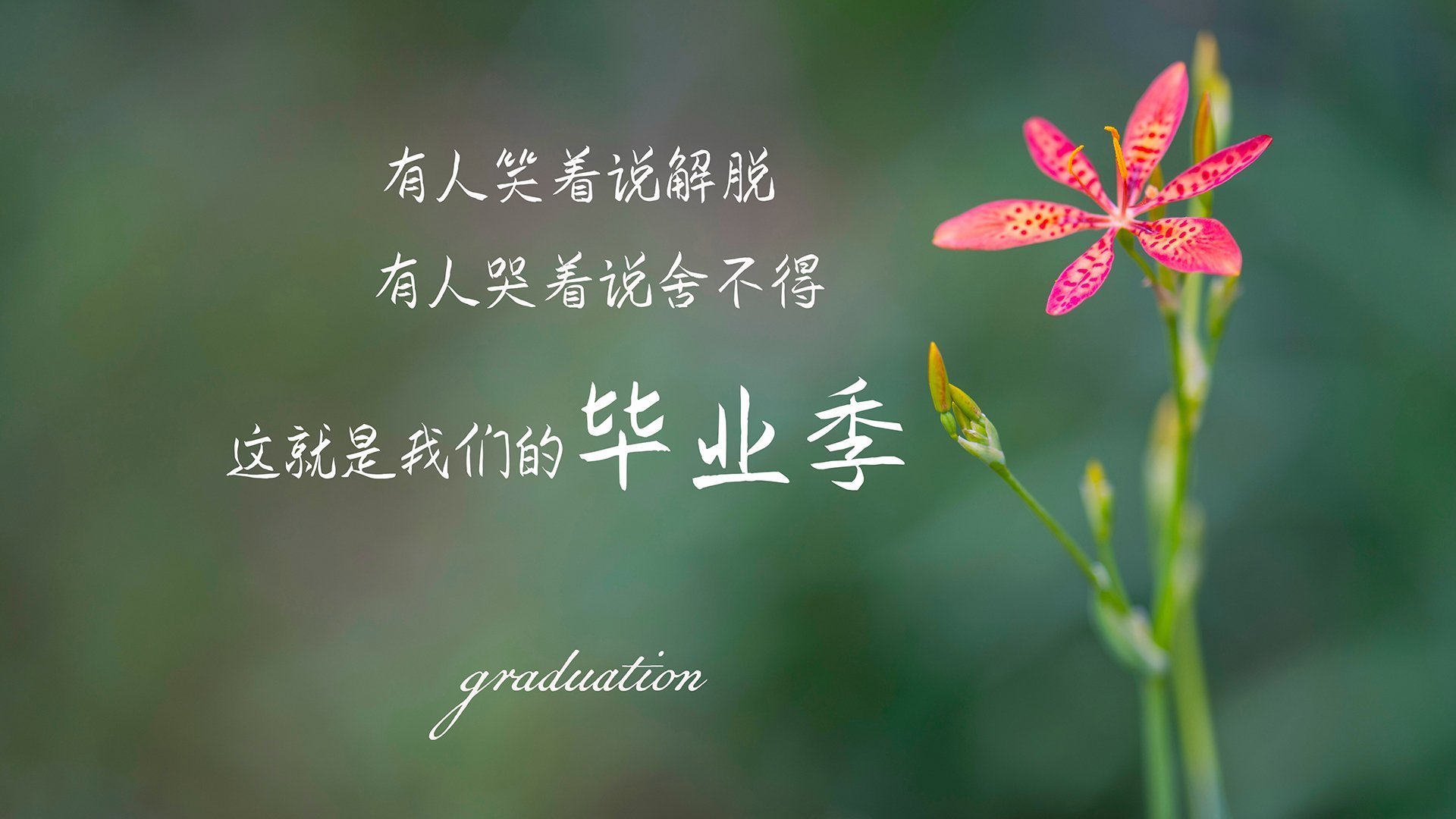 北欧神话再临,哈兰德以神之轨迹主宰G组生死战,挪威4-0横扫英格兰改写世界杯格局