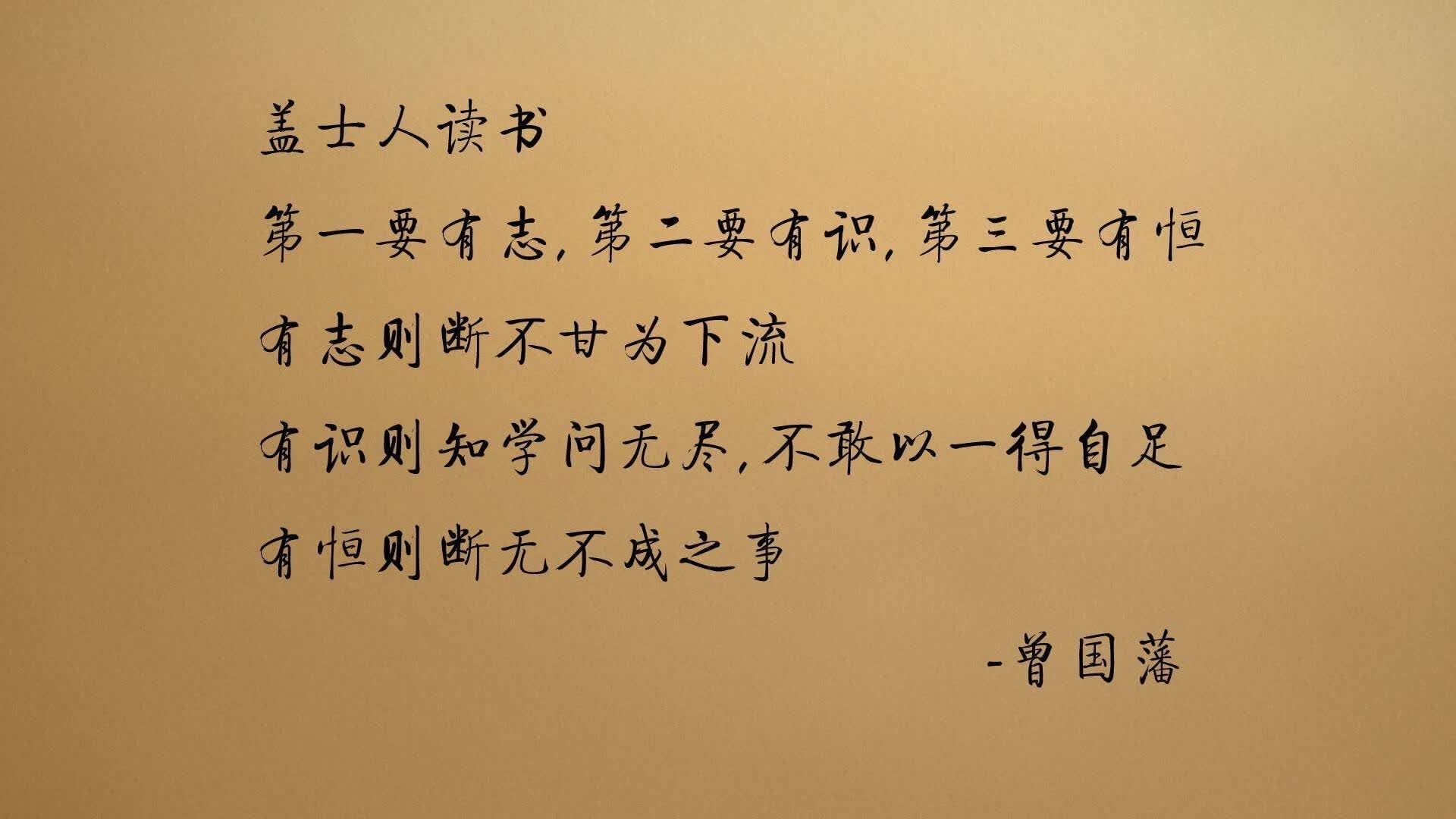 唯一的主宰,2026世界杯B组焦点战,巴雷拉统领伊朗碾压厄瓜多尔,一场毫无悬念的压制